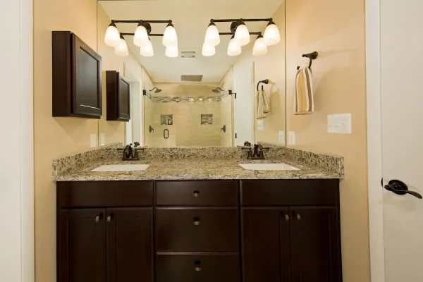 double sink vanity with lights